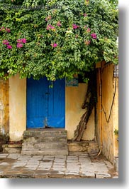 asia, covered, doors, flowers, hoi an, vertical, vietnam, photograph