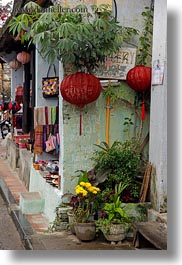 asia, flowers, hoi an, lanterns, red, vertical, vietnam, photograph