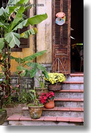 asia, flowers, hoi an, stairs, vertical, vietnam, photograph