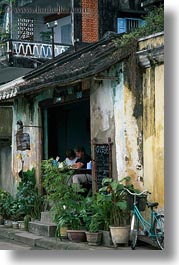 asia, cafes, flowers, hoi an, plants, vertical, vietnam, photograph