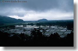 asia, fields, flooded, horizontal, landscapes, rice, vietnam, photograph