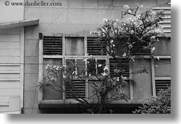 asia, black and white, buildings, horizontal, saigon, trees, vietnam, photograph