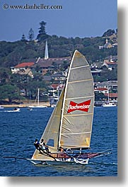 australia, boats, budweiser, nature, ocean, sailboats, sydney, transportation, vertical, water, photograph