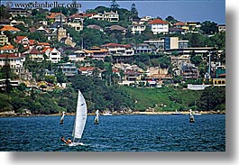 australia, boats, horizontal, nature, ocean, sailboats, sydney, transportation, water, photograph