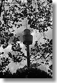 australia, black and white, buildings, leaves, skyscrapers, space needle, structures, sydney, vertical, photograph