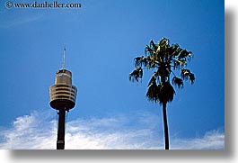australia, buildings, clouds, horizontal, nature, palm trees, plants, sky, skyscrapers, space needle, structures, sydney, trees, weather, photograph
