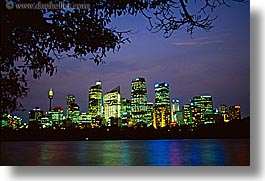 australia, branches, buildings, cityscapes, horizontal, nature, nite, plants, space needle, structures, sydney, trees, photograph