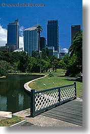 australia, buildings, cityscapes, fences, nature, park, pond, structures, sydney, vertical, water, photograph