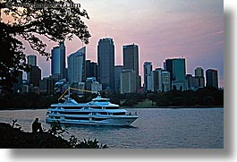 australia, boats, branches, buildings, cityscapes, cruise ships, horizontal, nature, plants, structures, sydney, transportation, trees, photograph