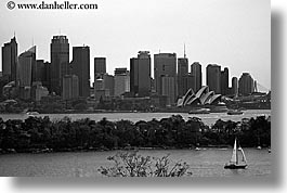 australia, black and white, boats, buildings, cityscapes, horizontal, sailboats, structures, sydney, transportation, photograph