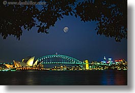 australia, branches, bridge, harbor bridge, horizontal, moon, nature, nite, opera house, plants, sky, structures, sydney, trees, photograph
