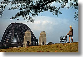 australia, branches, bridge, dans, harbor bridge, horizontal, men, nature, people, plants, structures, sydney, trees, photograph
