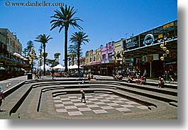 australia, chessboard, horizontal, manly beach, nature, palm trees, plants, stores, sydney, trees, photograph