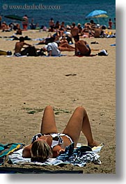 australia, beaches, manly beach, people, sexy, sunbathers, sunbathing, sydney, tourists, vertical, womens, photograph