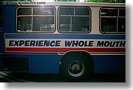 australia, bus, experience, horizontal, mouth, signs, sydney, transportation, wheels, whole, photograph