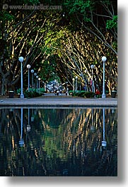 australia, fountains, lamp posts, nature, plants, reflections, shade tree, streets, structures, sydney, trees, tunnel, vertical, water, photograph