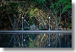 australia, fountains, horizontal, lamp posts, nature, plants, reflections, shade tree, structures, sydney, trees, tunnel, water, photograph