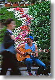 australia, flowers, guitars, instruments, men, music, musicians, nature, people, players, sydney, vertical, photograph