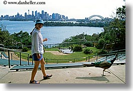 australia, buildings, cityscapes, clothes, hats, horizontal, jills, peacock, people, structures, sydney, tourists, walking, womens, photograph
