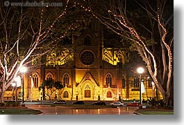 australia, branches, buildings, churches, horizontal, lights, nature, nite, plants, religious, st marys cathedral, structures, sydney, trees, photograph