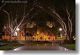 australia, branches, buildings, churches, horizontal, lights, nature, nite, plants, religious, st marys cathedral, structures, sydney, trees, photograph