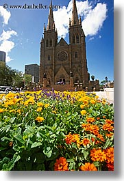 australia, buildings, churches, flowers, nature, religious, st marys cathedral, structures, sydney, vertical, photograph