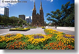 australia, buildings, churches, flowers, horizontal, nature, religious, st marys cathedral, structures, sydney, photograph