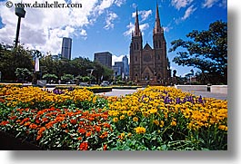 australia, buildings, churches, flowers, horizontal, nature, religious, space needle, st marys cathedral, structures, sydney, photograph
