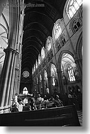 australia, black and white, buildings, churches, pews, religious, st marys cathedral, structures, sydney, vertical, photograph