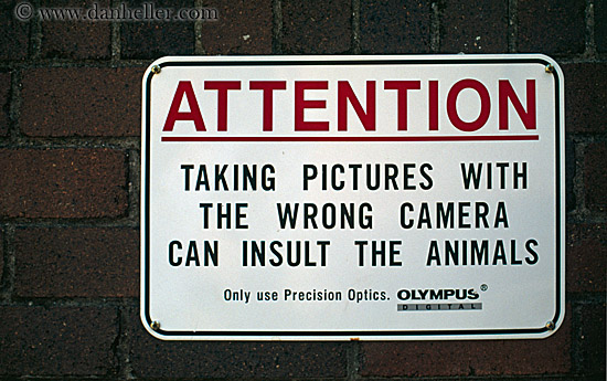 funny sign. funny-camera-sign.jpg