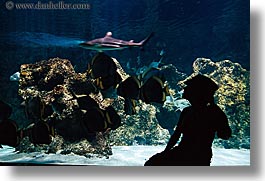 aquarium, australia, horizontal, jil, people, silhouettes, structures, sydney, taronga zoo, womens, photograph