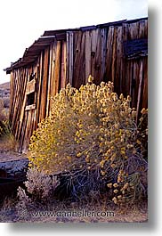 bodie, california, exteriors, ghost town, state park, vertical, west coast, western usa, photograph