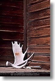 antiques, antlers, bodie, california, ghost town, vertical, west coast, western usa, photograph