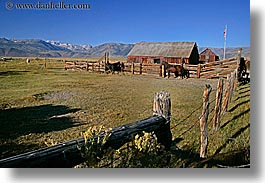 barn, bridgeport, california, horizontal, horses, mountains, ranch, west coast, western usa, photograph