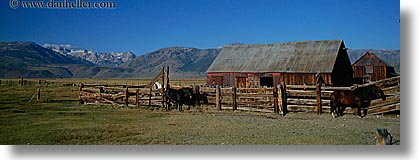 barn, bridgeport, california, horizontal, horses, mountains, panoramic, ranch, west coast, western usa, photograph