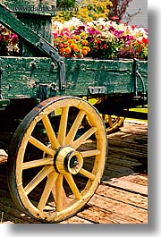 bridgeport, california, coach, flowers, stage, vertical, west coast, western usa, wheels, photograph