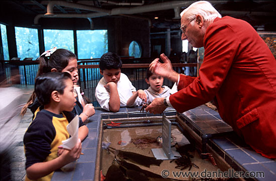 kids-learning-aquarium.jpg