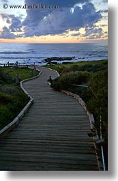 california, cambria, ocean, paths, planks, vertical, west coast, western usa, woods, photograph
