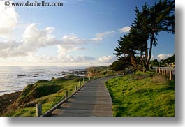 california, cambria, horizontal, ocean, paths, planks, west coast, western usa, woods, photograph