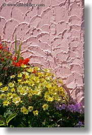 california, capitola, colorful, flowers, vertical, west coast, western usa, photograph