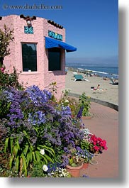 california, capitola, flowers, hotels, vertical, victorian hotel, victorians, west coast, western usa, photograph