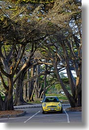 california, carmel, cars, mini, trees, vertical, west coast, western usa, yellow, photograph
