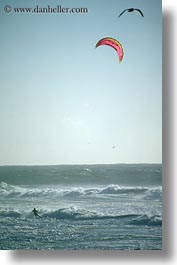 california, coastal views, kite surfing, kites, surfing, vertical, west coast, western usa, photograph