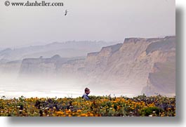 california, cliffs, coastal views, flowers, horizontal, people, west coast, western usa, photograph
