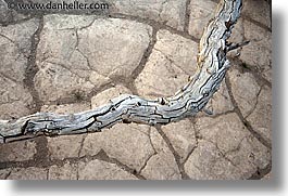 branches, california, death valley, dunes, horizontal, national parks, west coast, western usa, photograph