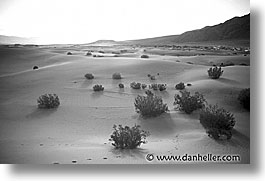 black and white, california, death valley, desert, dunes, horizontal, national parks, west coast, western usa, photograph