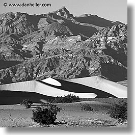 black and white, california, death valley, dunes, mountains, national parks, square format, west coast, western usa, photograph