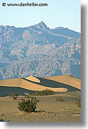 california, death valley, dunes, mountains, national parks, vertical, west coast, western usa, photograph