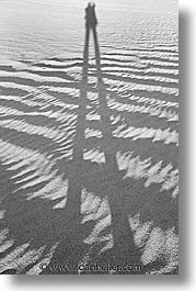 black and white, california, death valley, dunes, national parks, sand, shadows, vertical, west coast, western usa, photograph