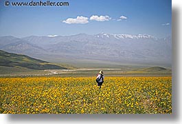 california, death valley, horizontal, jack and jill, landscapes, national parks, people, west coast, western usa, wildflowers, photograph